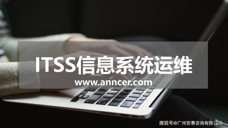 IT外包服务按人天报价：揭秘其背后的逻辑与考量**